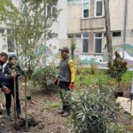 proiect ecologic si artistic la colegiul national de arte regina maria din constanta curtea interioara a devinit spatiu verde si galerie de arta in aer liber 69202617ae1c0