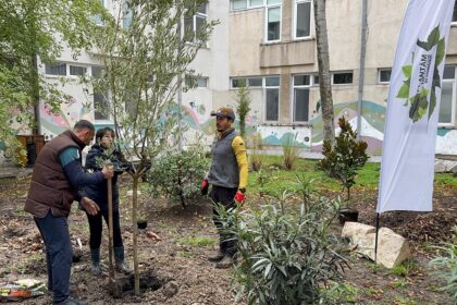 proiect ecologic si artistic la colegiul national de arte regina maria din constanta curtea interioara a devinit spatiu verde si galerie de arta in aer liber 69202617ae1c0