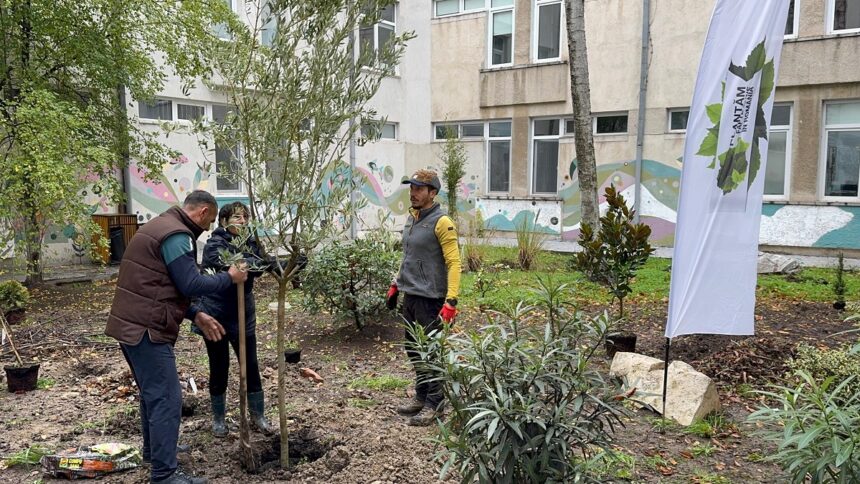 proiect ecologic si artistic la colegiul national de arte regina maria din constanta curtea interioara a devinit spatiu verde si galerie de arta in aer liber 69202617ae1c0