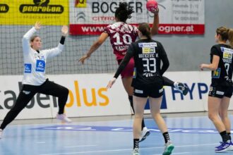 rapid bucuresti infrangere usturatoare cu hsg bensheim auerbach flames in turul 3 din european league 6911c65ed94e1