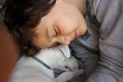 reguli noi pentru protectia animalelor de companie microciparea cainilor si pisicilor devine obligatorie 6927270687211