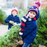 romsilva scoate la vanzare 16 000 de pomi de craciun care sunt preturile pentru achizitia directa de la ocoalele silvice 6928305f004a0