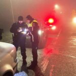 surpriza la dobromir la un control de rutina al politistilor masina era ticsita 692ae6b44da77