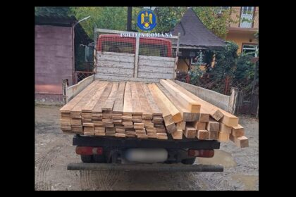 transport ilegal de lemne oprit in trafic de politistii din baneasa 69146ba040881