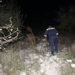 update alerta la murfatlar un barbat de 70 de ani disparut in padure 69068658d1b05