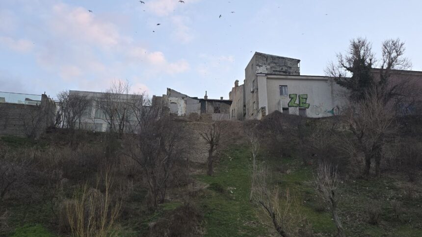 vergil chitac proiectul de consolidare a taluzului de la plaja modern va intra in licitatie publica este nevoie de interventia statului 691eed2994388