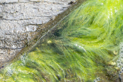 viata pe pamant a inceput mai devreme decat se credea noile dovezi descoperite de cercetatori in africa de sud 692c955cd1550