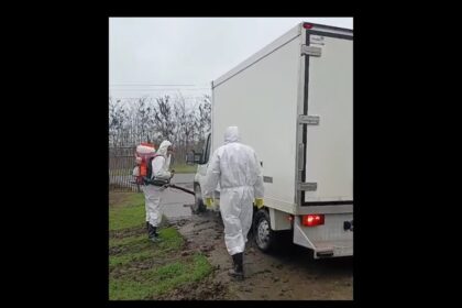 video a fost igienizat focarul de pesta porcina din navodari proprietarul amendat de dsvsa 6915cb5634197