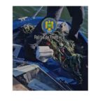 video actiune anti braconaj la tulcea plase ilegale recuperate si trei sturioni eliberati in marea neagra 69086af910551