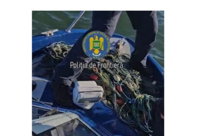 video actiune anti braconaj la tulcea plase ilegale recuperate si trei sturioni eliberati in marea neagra 69086af910551