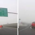 video bizon pe autostrada sofer filmat cum conduce pe contrasens si evita la limita o alta masina decizia politistilor 6922c91781b41
