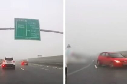 video bizon pe autostrada sofer filmat cum conduce pe contrasens si evita la limita o alta masina decizia politistilor 6922c91781b41