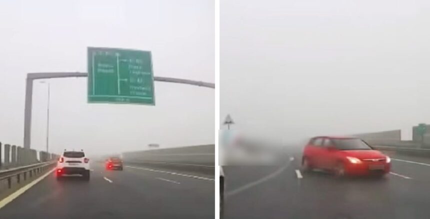 video bizon pe autostrada sofer filmat cum conduce pe contrasens si evita la limita o alta masina decizia politistilor 6922c91781b41