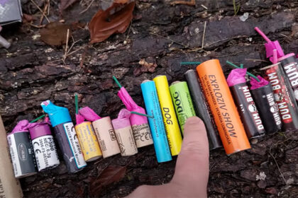 video constanta 300 de kilograme de petarde gasite in masina unor tineri marfa si autoturismul au fost confiscate 691d8d9a2a0d1