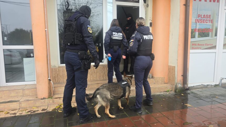 video constanta zeci de perchezitii cu mascatii la o grupare care exploata sexual minore si vindea droguri ce transmite oficial ipj constanta 691db0cb1b8c8