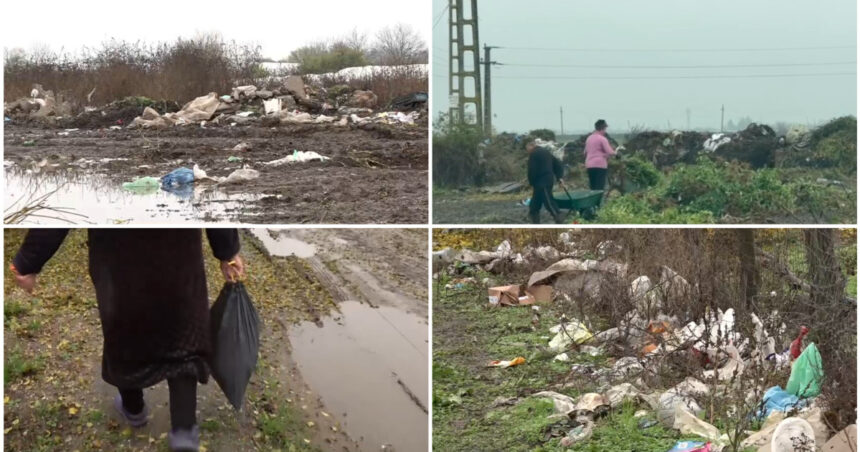 video imagini revoltatoare campuri sufocate de gunoaie intr o comuna din olt localnicii si primarul se invinovatesc reciproc 6922b23191d24