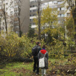 video lucian judele taierile ilegale din zona parcului ior par intamplari desprinse dintr un film cu mafia din anii 60 70 6925fdd6ce000