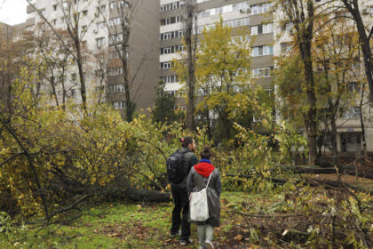 video lucian judele taierile ilegale din zona parcului ior par intamplari desprinse dintr un film cu mafia din anii 60 70 6925fdd6ce000