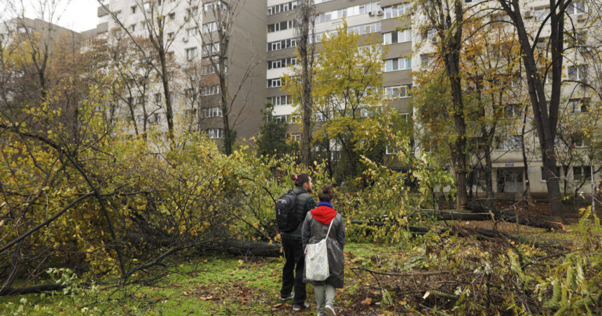 video lucian judele taierile ilegale din zona parcului ior par intamplari desprinse dintr un film cu mafia din anii 60 70 6925fdd6ce000