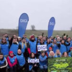 video mii de copaci au fost plantati de angajatii digi daca natura are grija de noi trebuie sa avem si noi grija de natura 691761379bfc4