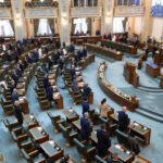 video moment de reculegere in plenul senatului pentru mihaela femeia ucisa cu 15 lovituri de cutit de fostul partener 6912144a92999