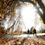 Noiembrie debutează cu o căldură surprinzătoare. Prognoza meteorologică pentru zilele următoare ne aduce vești interesante despre vreme 5 video noiembrie incepe cu temperaturi de vara meteorologii anunta cum va fi vremea in urmatoarele zile 6905b4a4ddacb