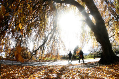 video noiembrie incepe cu temperaturi de vara meteorologii anunta cum va fi vremea in urmatoarele zile 6905b4a4ddacb
