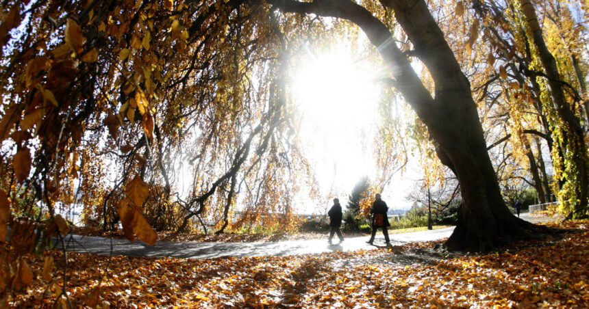 video noiembrie incepe cu temperaturi de vara meteorologii anunta cum va fi vremea in urmatoarele zile 6905b4a4ddacb