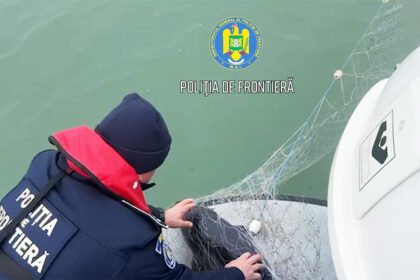video salvare pe marea neagra delfin si sturioni eliberati din plasele braconierilor 69131a34783b5