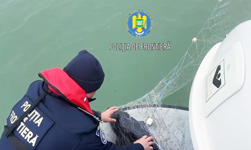 video salvare pe marea neagra delfin si sturioni eliberati din plasele braconierilor 69131a34783b5