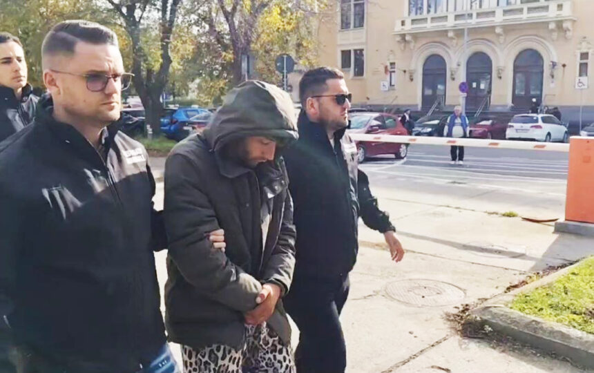 video suspectul crimei din navodari adus in fata judecatorilor imi pare rau a spus acesta la intrarea in sala 691c46a4b0d80