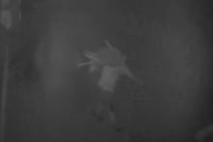 video trei romani au furat 77 de oi de la o stana din spania autoritatile au descris cum actiona banda de hoti 6914668c6cefd