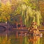 vremea se incalzeste din nou zonele in care vor fi 20 de grade prognoza anuntata de meteorologi pentru saptamana viitoare 69159f3659a10