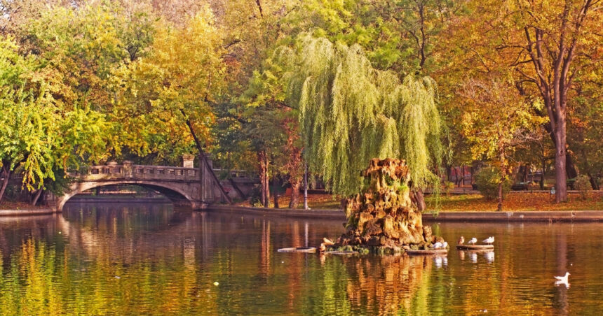 vremea se incalzeste din nou zonele in care vor fi 20 de grade prognoza anuntata de meteorologi pentru saptamana viitoare 69159f3659a10