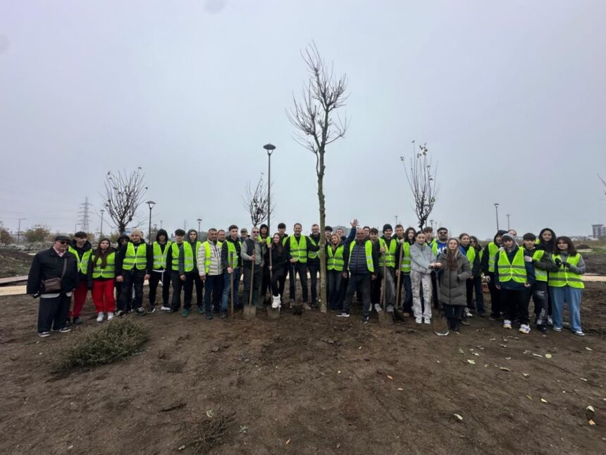 ziua dobrogei sarbatorita printr o actiune de plantare in parcul perdeaua verde din constanta 6917632bceca1