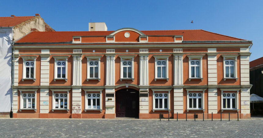 a fost stabilita cauza decesului elevului de 8 ani din timisoara gasit fara suflare dupa ce s a intors de la un majorat 6940202f708bc