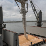 al dahra holding va pleca din comertul cu cereale din romania in 2026 cum a ajuns piata intr o lipsa totala de control 693afaf2961de