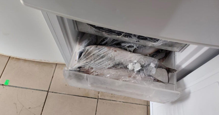 anpc a facut controale in zone turistice si a dat amenzi de 16 milioane de lei ce nereguli au fost descoperite 694a24563c684