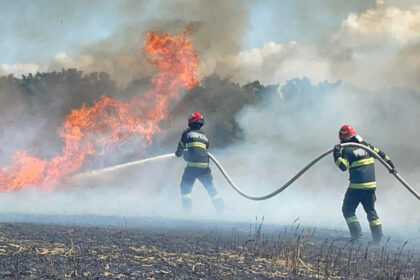 arde o stana de oi din comuna topalu intervin mai multe autospeciale 693a809d73030