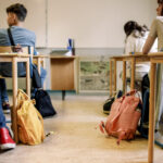 cum pot elevii din romania sa studieze un an de liceu in sua conditii de inscriere si calendarul complet al programului flex 693a51241c8db