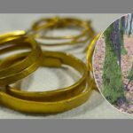 descoperire arheologica impresionanta patru bratari tracice din aur vechi de 3 300 de ani gasite langa un copac 6931a4f56edc8