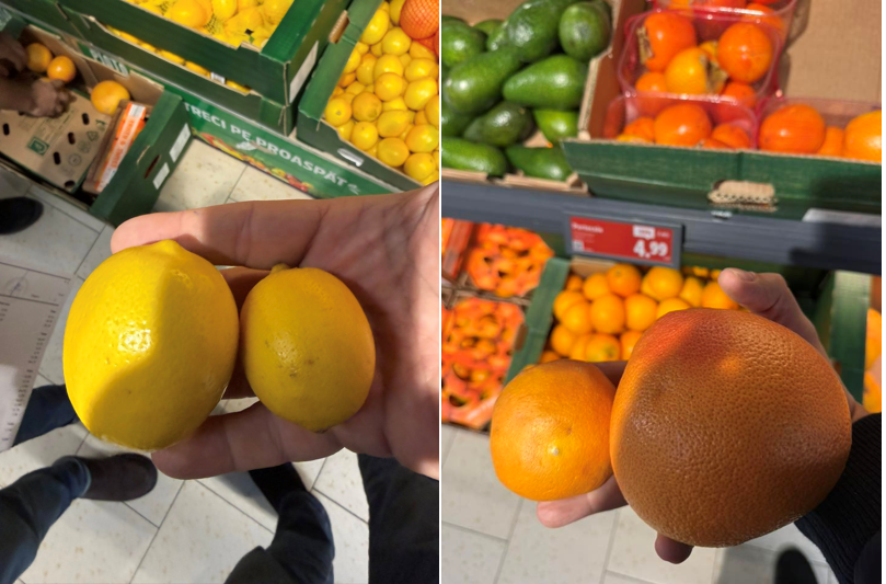 director anpc lamaile sub 45 mm diametru si portocalele sub 60 mm diametru considerate furaj animalier in orice tara civilizata 6946f8b9421fb