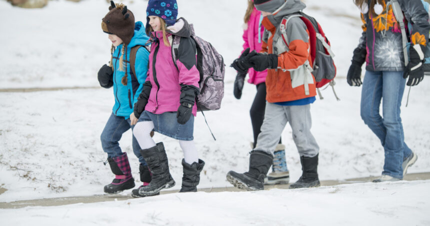 elevii intra in vacanta de craciun 19 zile libere de la cursuri pe ce data se intorc la scoala in 2026 69424f1206d5e