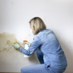 factori care favorizeaza formarea mucegaiului in locuinte cele mai simple metode de prevenire recomandate de specialisti 693e45978856d