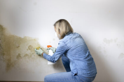 factori care favorizeaza formarea mucegaiului in locuinte cele mai simple metode de prevenire recomandate de specialisti 693e45978856d