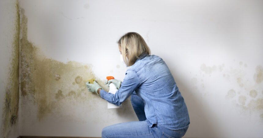 factori care favorizeaza formarea mucegaiului in locuinte cele mai simple metode de prevenire recomandate de specialisti 693e45978856d