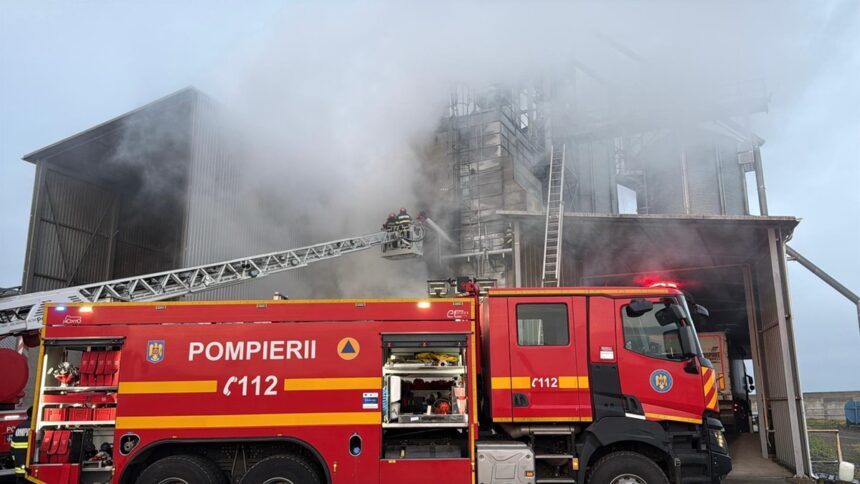 foto video alerta la enisala incendiu la un uscator de cereale iata ce s a intamplat 692fd8898d279