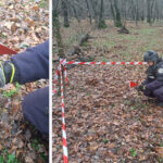 grenada ofensiva functionala descoperita intr o padure din botosani de un pasionat de detectii metalice 692dea5fb0be6