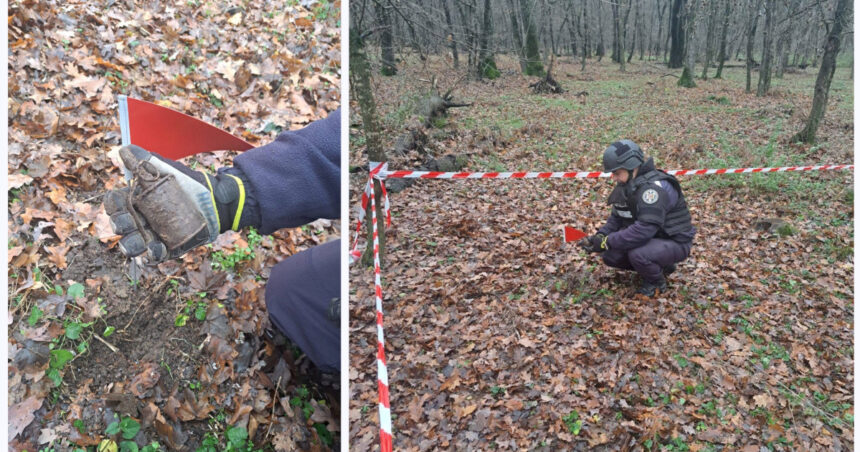 grenada ofensiva functionala descoperita intr o padure din botosani de un pasionat de detectii metalice 692dea5fb0be6