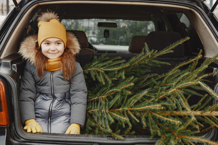 iata ce amenzi riscati daca transportati bradul de craciun incorect in masina 693f08ade5ee6
